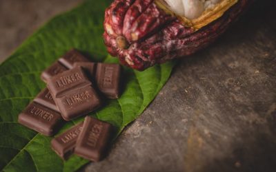 Fine Flavour Cocoa, the ingredient behind Luker Chocolate